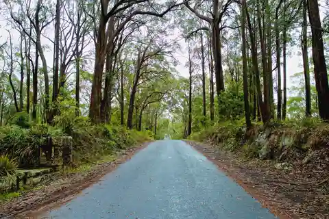 Sydney: Private Southern Highlands and Coastal Village Tour
