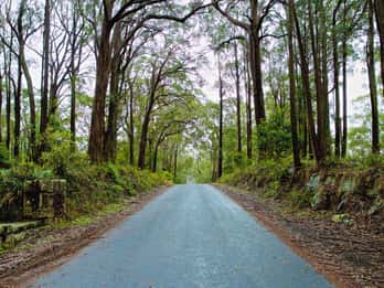 Sydney: Private Southern Highlands and Coastal Village Tour