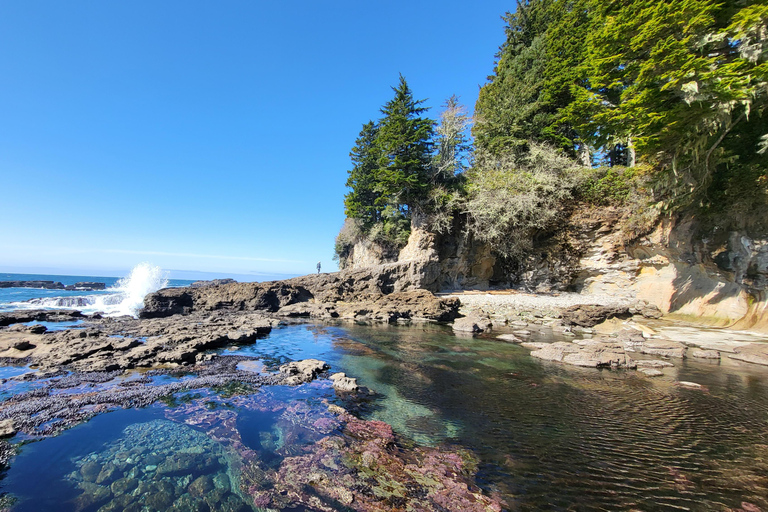 Vancouver Island: Jurtenaufenthalt, Wasserfall, Strände und Skywalk