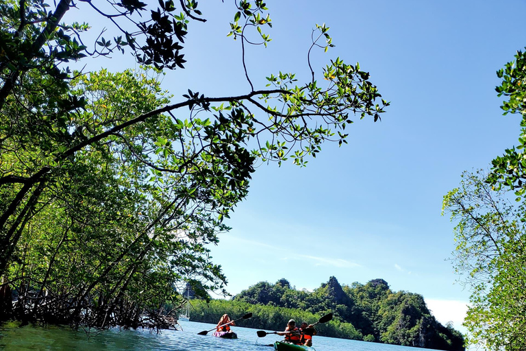 Langkawi : Tour en barco y kayak por los manglares con almuerzo