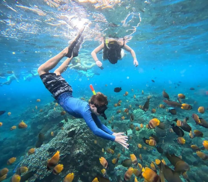 Bali All Inclusive Snorkeling At Blue Lagoon Beach Getyourguide