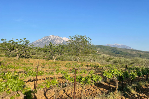 From Berat: Local Winery Tour with Tastings & Snacks