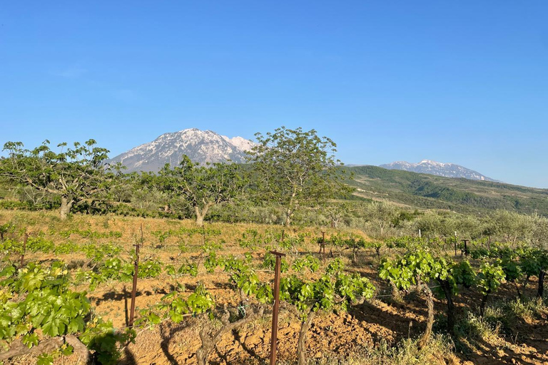 From Berat: Local Winery Tour with Tastings & Snacks