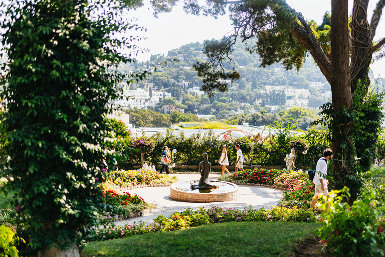 From Sorrento: Capri Guided Boat Tour &amp; Ieranto Natural ParkTour with Pickup