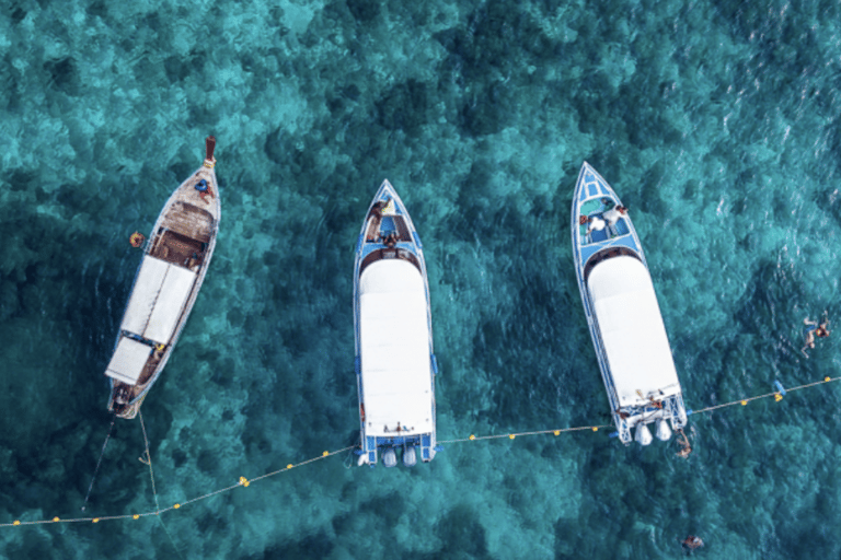 TailanDay w PhiPhi - Zatoka Maya i główne plaże w języku portugalskimTailanDay w Phi Phi - Zatoka Maya i główne plaże