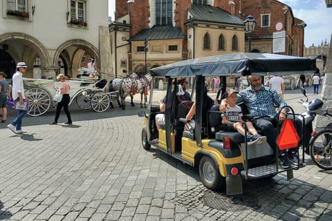 Krakow: Old Town by Golf Cart, Wawel, & Wieliczka Salt Mine