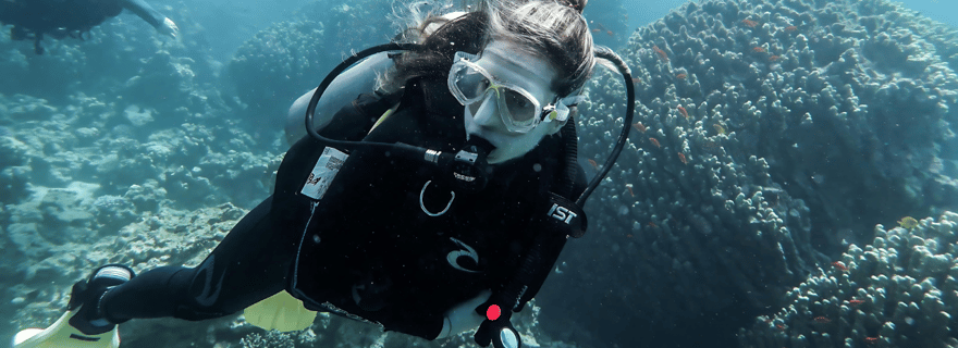 Explorez les profondeurs d'Aqaba : Excursion de plongée sous-marine, avec prise en charge à l'hôtel