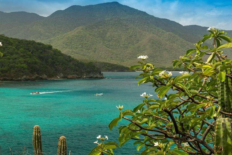 Santa Marta: Full Tour to Tayrona Park with a Swim at Playa Cristal Santa Marta: Full Tour to Tayrona Park with a Swim at Cristal Beach