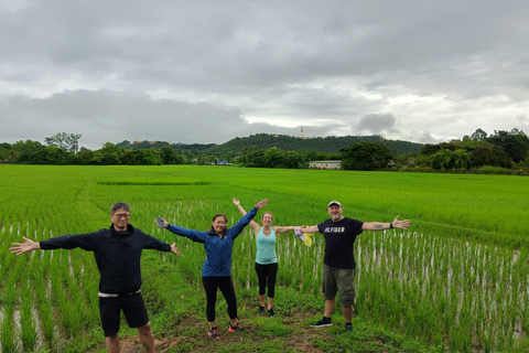 Chiang Mai: experiência de ioga e meditação de dia inteiro com almoço