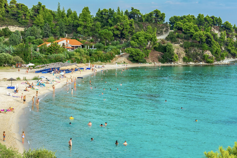 Saloniki: Halkidiki/Sithonia Swim, Sunset &amp; Olive Tour