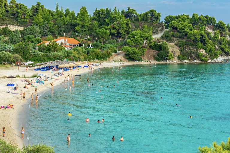 Saloniki: Halkidiki/Sithonia Swim, Sunset &amp; Olive Tour