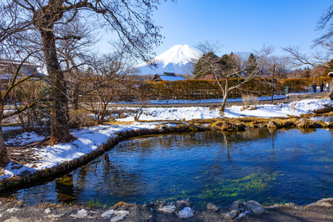 Tokyo: Mount Fuji Day Tour, Oshino Hakkai, Lake Kawaguchi Lunch Excluded | 8:30 AM from Shinjuku Station