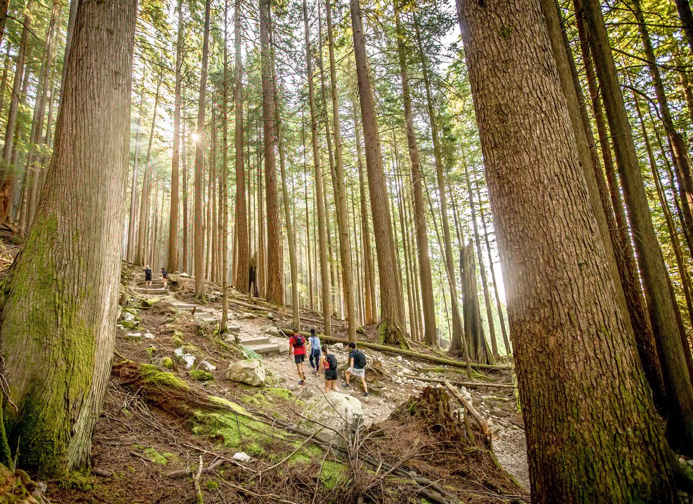 Adgangsbillet til Grouse Mountain Skyride