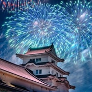From Tokyo: Hitachi Seaside Park & Tonegawa Fireworks Tour