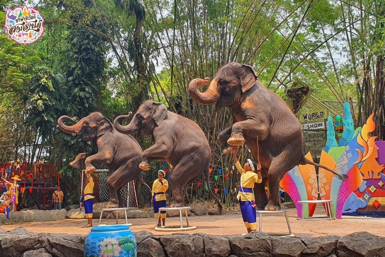Bangkok: Safari World y Parque Marino con almuerzo y trasladoBangkok: Safari World y Espectáculo en el Parque Marino con Traslado al Hotel