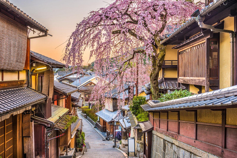 Kyoto : Visite à pied du quartier des geishas de Gion et des joyaux cachés