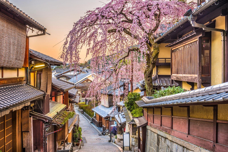 Kyoto: Gion Geisha District &amp; Hidden Gems Tour