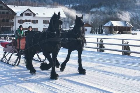 Brașov: Horse-Drawn Sleigh or Carriage Ride with Pickup