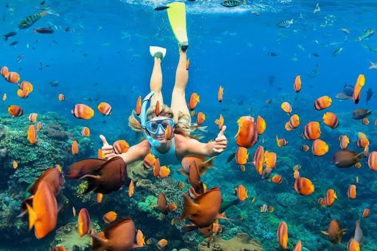 Nusa Penida: Island Sightseeing West & East Coast Day Trip Car Charter 8 Hours Explore West Coast