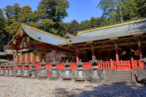 Från Tokyo: Nikko och det vackra vattenfallet Kegon