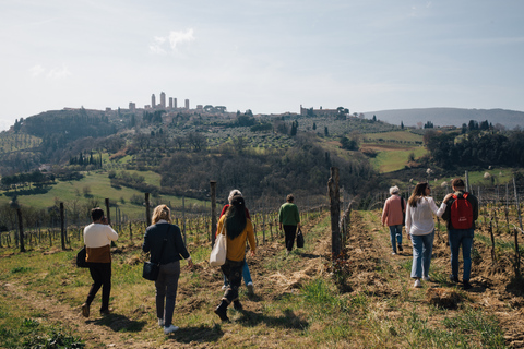 Florence: Expérience de Pise, Sienne, San Gimignano et ChiantiVisite privée avec guide, déjeuner, dégustation de vin et transferts