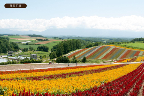 Sapporo Day Tour: Biei Blue Pond & Lavender Farm with Lunch 7:30 Pickup Point + Flower Sea Ticket (with Buffet + Melon)