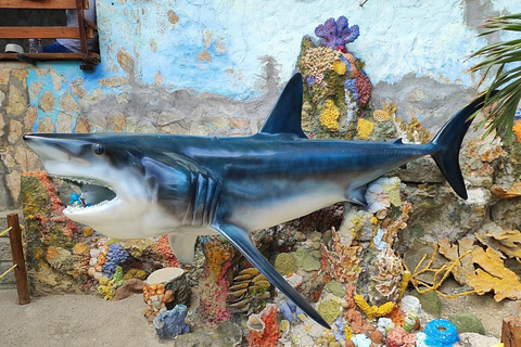 SANTAMARTA: TOUR Playa Blanca, Acquario Museo del Mare