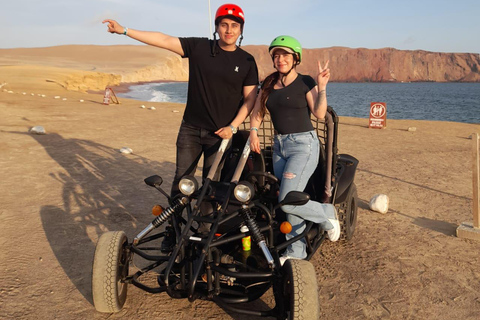 Paracas: Golden Shadows Experience on ATV / Minibuggy Paracas: Golden Shadows Experience on an ATV / Minibuggy