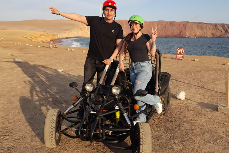 Paracas: Golden Shadows Experience on ATV / Minibuggy Paracas: Golden Shadows Experience on an ATV / Minibuggy