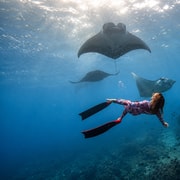 From Bali 3-Spot Nusa Penida Snorkeling w/ GoPro & West Tour