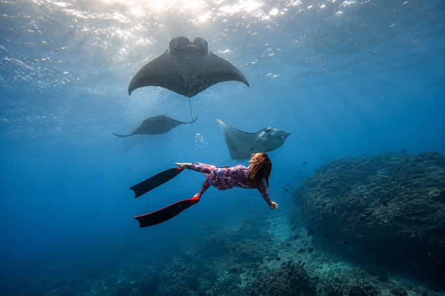 Ab Bali: Schnorcheln an 3 Orten in Nusa Penida mit GoPro & Tour im Westen. Foto: GetYourGuide Ab Bali: Schnorcheln an 3 Orten in Nusa Penida mit GoPro & Tour im Westen. Foto: GetYourGuide