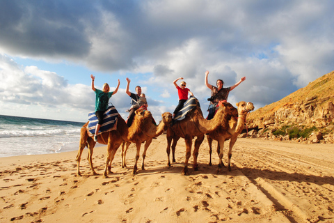 Tangier: 3 hours Tour and camel ride small group