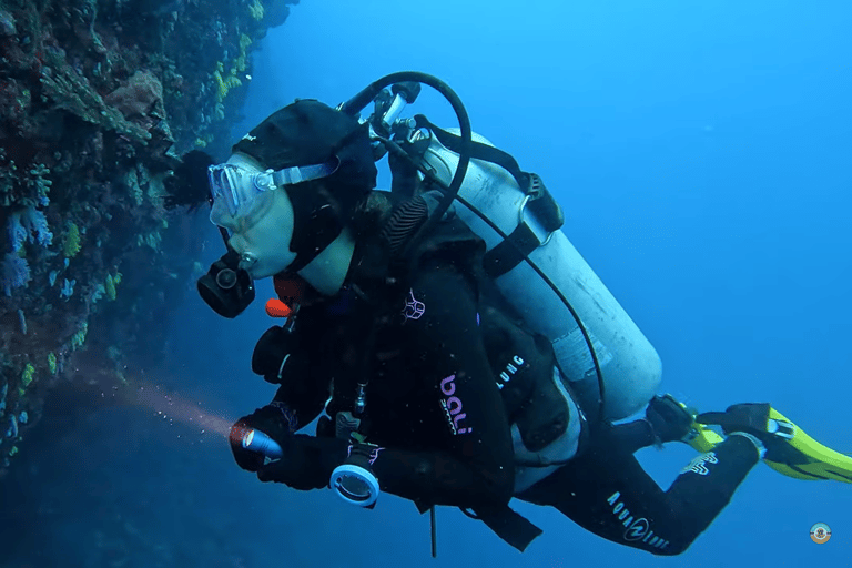 Moalboal : Scuba Diving Sardine Run and Turtle Chasing Scuba Diving: Sardine Run, Turtle Chasing &Pescador Island