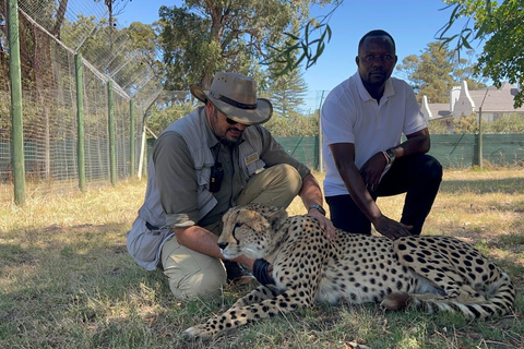 Kapsztad: gepard, spotkanie z żyrafą i wycieczka winiarskaKapsztad: wyprawa z gepardem, spotkanie z żyrafą i wycieczka winiarska