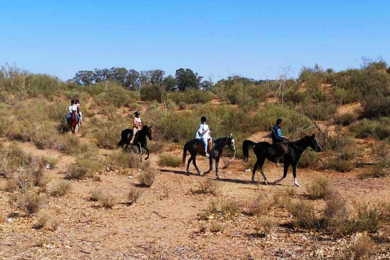 Agadir: Private Coco Polizzi Medina & Horse Ride