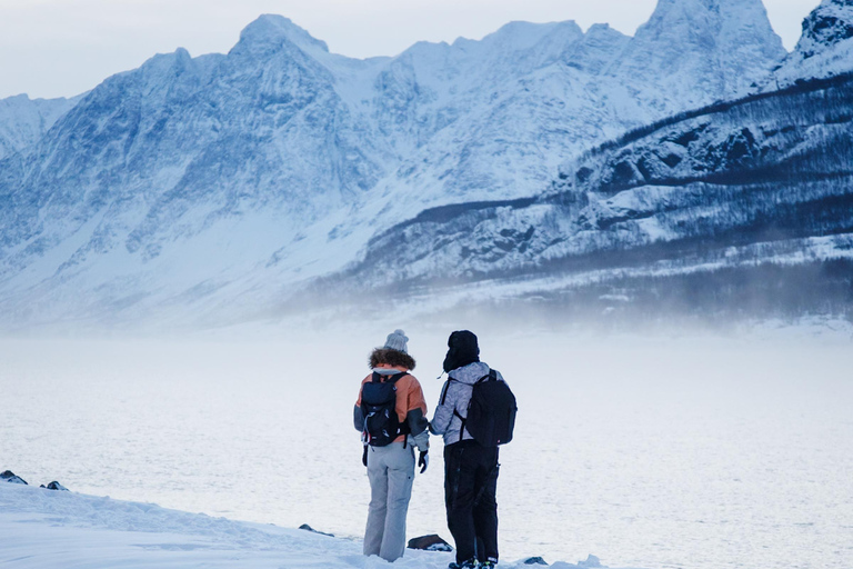 Tromsø: Lyngen Alps Snowmobile Tour with Soup &amp; Drinks