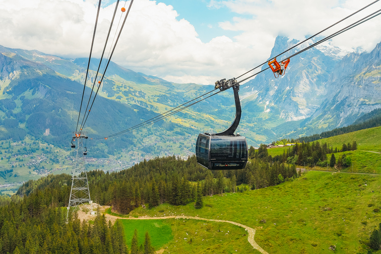 From Zurich: Guided Day Trip to Jungfraujoch with Train Ride