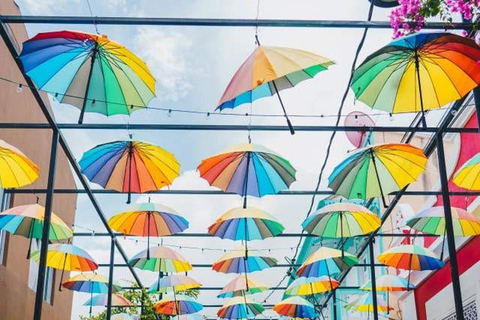 Puerto Plata: passeio cultural com degustação de rum e charutosPuerto Plata: tour cultural com degustação de rum e charutos