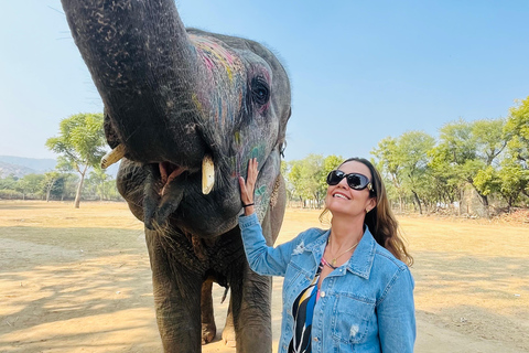 Elefun Best Elephant Sanctuary in Jaipur