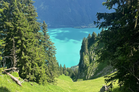 Interlaken: Besteige das Augstmatthorn mit einem Schweizer Triathleten