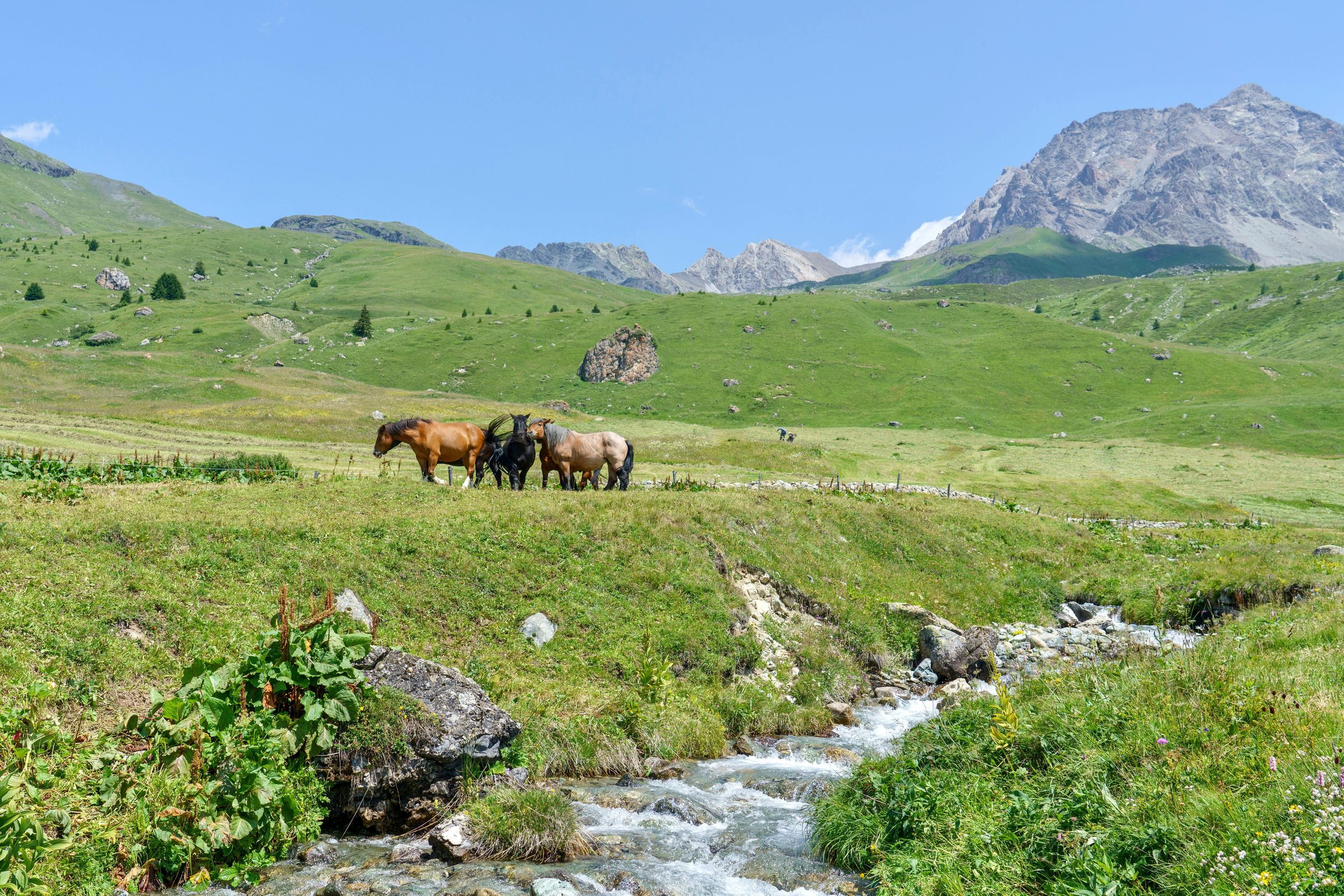 Ramsau: Geführte Reittour in den Alpen