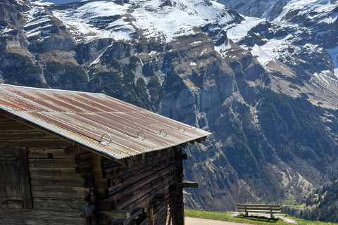 Interlaken: Scenic hiking tour from Mürren to Rotstock hut.
