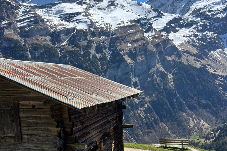 Interlaken: Scenic hiking tour from Mürren to Rotstock hut.