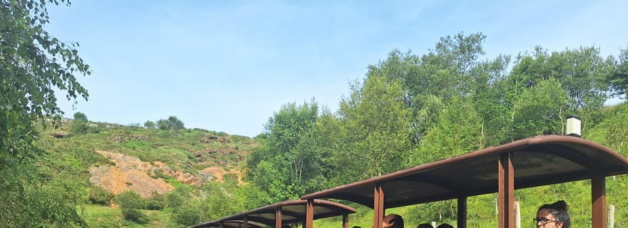 Depuis Santander ou Torrelavega : excursion à la grotte de Soplao