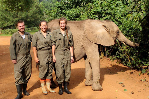 UGANDA SANCTUARY SOJURN: Experimenta a Viagem de Conservação