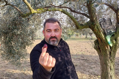 Kusadası: Countryside Tour with Lunch and Drinks