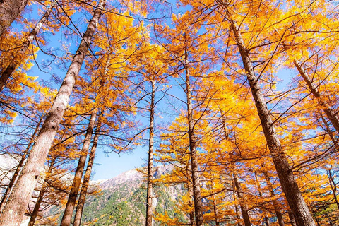 From Nagoya: Kamikochi & Matsumoto Private Transport Nagoya Transport Route | Up to 6 Guests