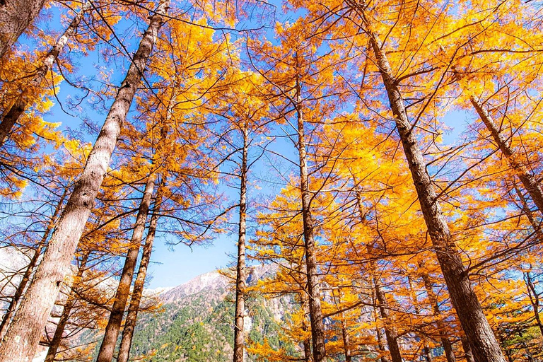 From Nagoya: Kamikochi & Matsumoto Private Transport Nagoya Transport Route | Up to 6 Guests