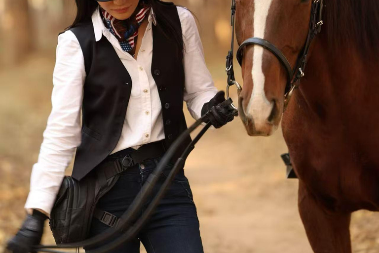 بكين: تجربة ركوب الخيل مع عشاء