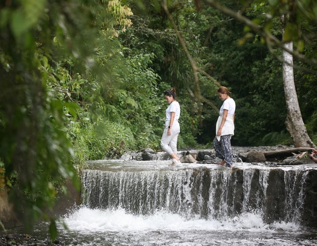 Tetebatu: Rice Terraces, Waterfall & Monkey Forest Tour